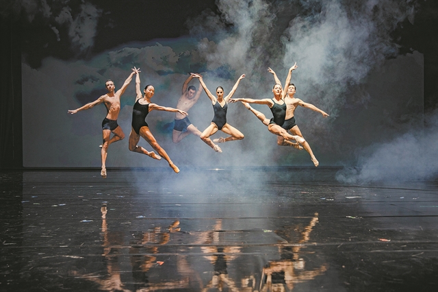 Τα μυστικά των Κύκνων