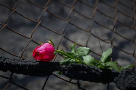 Δενδροφύτευση στη μνήμη των θυμάτων της φονικής πυρκαγιάς στη Σμύρνη