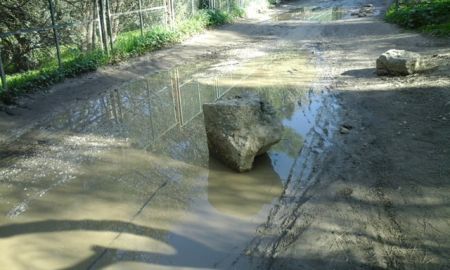 Οι πυρόπληκτοι ζήτησαν αξιοποίηση από τον κ. Τσίπρα