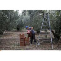 Κατατέθηκε η τροπολογία για την εξαίρεση των αγροτών από το τέλος επιτηδεύματος