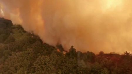Καλιφόρνια: Στους 87  οι νεκροί από τις φωτιές