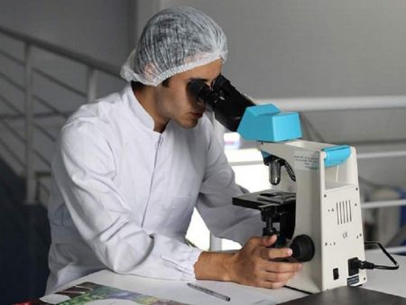 Μικρογραφία πλακούντα δημιούργησαν για πρώτη φορά στο εργαστήριο Βρετανοί ερευνητές