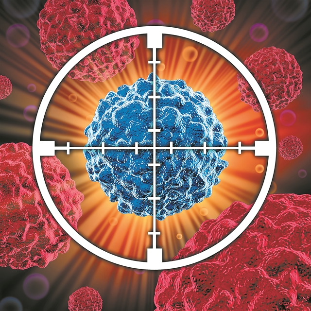 Καρκίνος : Η ανοσοθεραπεία βρίσκει στόχο