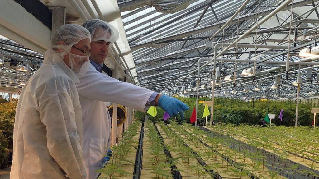 Μετά την Folli Follie η καναδική Aphria στο στόχαστρο του QCM