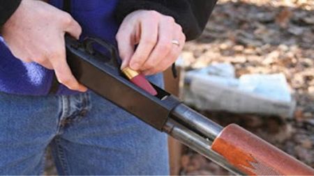 Στον εισαγγελέα γιατί σκότωσε με καραμπίνα αδέσποτο σκύλο