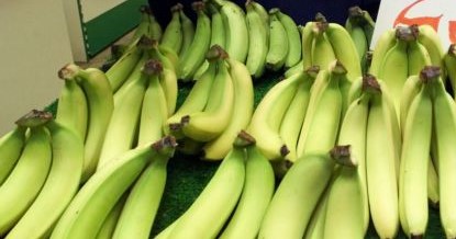 Δέσμευσαν 506 κιλά μπανάνες σε λαϊκή αγορά | tovima.gr