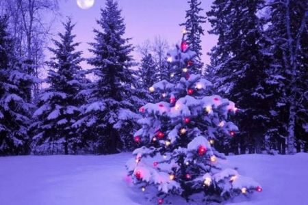 25 Δεκεμβρίου : Γιατί γιορτάζουμε τα Χριστούγεννα τη συγκεκριμμένη μέρα;