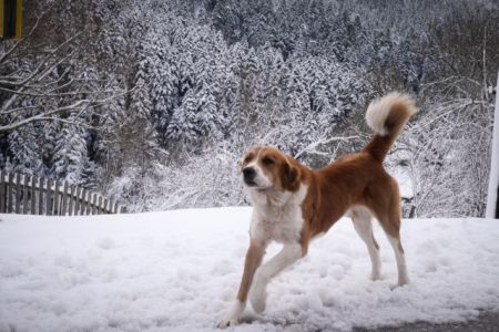Δελτίο ΕΜΥ : Χιόνια και πτώση της θερμοκρασίας έως 18 βαθμούς