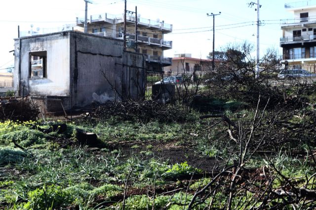 Τα Χριστούγεννα δεν ήρθαν στο Μάτι