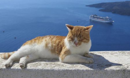 Telegraph: Δεν προξενεί έκπληξη ότι επισκέφθηκαν την Ελλάδα  30 εκατ. άνθρωποι