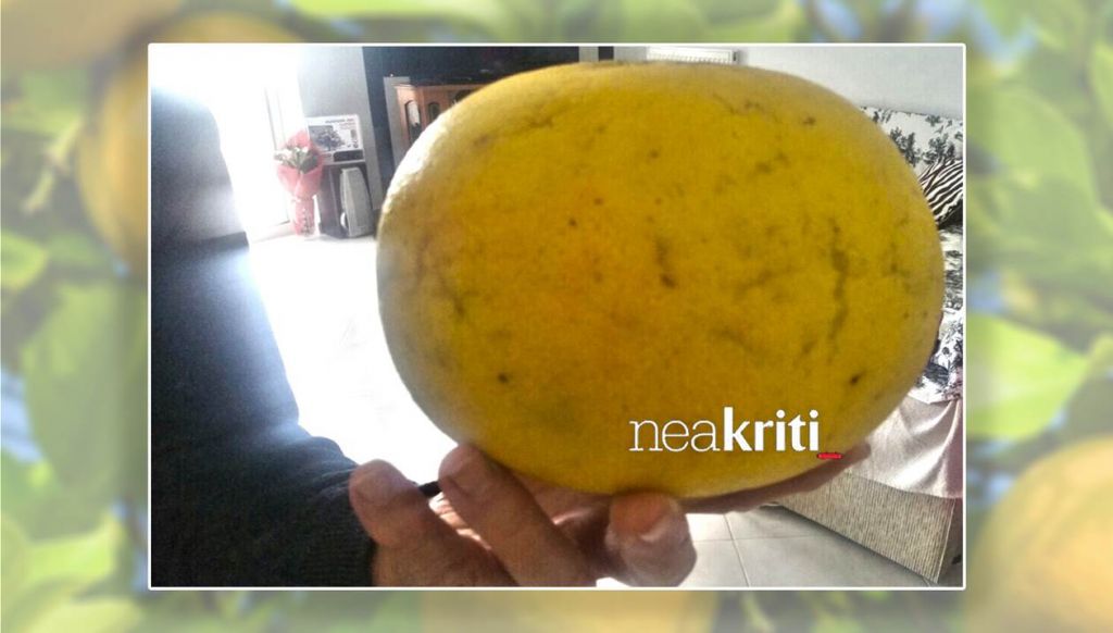 Ετριβαν τα μάτια τους με την τεράστια φράπα στο Φόδελε