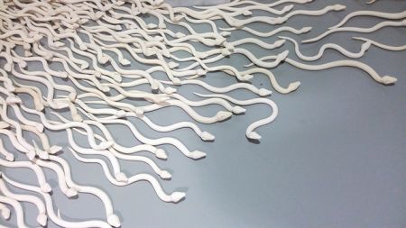 Στον λαβύρινθο της γνώσης