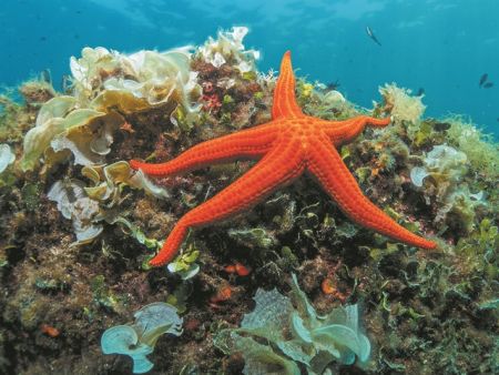 Θησαυροί της ελληνικής γης