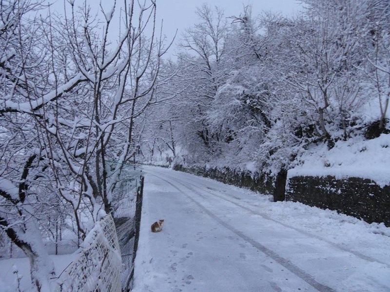 Πενήντα εκδρομείς εγκλωβίστηκαν από τα χιόνια σε ξενοδοχείο στο Γαρδίκι Φθιώτιδας