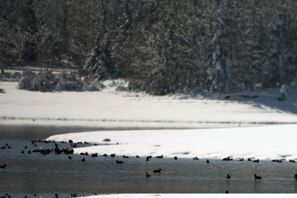 Μαγικό τοπίο η χιονισμένη λίμνη Πλαστήρα
