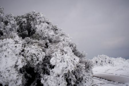Λάρισα : Διακοπές ηλεκτροδότησης σε περιοχές του δήμου Αγιάς