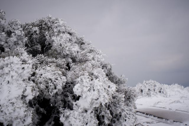 Λάρισα : Διακοπές ηλεκτροδότησης σε περιοχές του δήμου Αγιάς