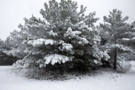 Κακοκαιρία : Χωρίς ρεύμα περιοχές του Βόλου και του Πηλίου