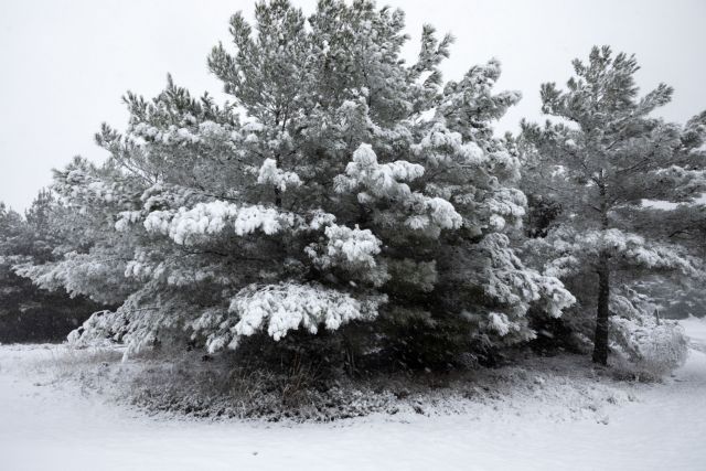 Κακοκαιρία : Χωρίς ρεύμα περιοχές του Βόλου και του Πηλίου