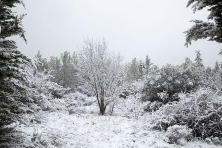 Ζευγάρι εγκλωβίστηκε με την 7χρονη κόρη του στα χιόνια