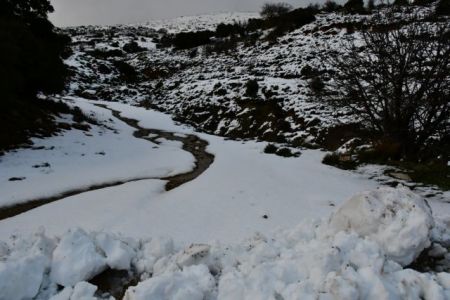Ολονύχτια μάχη για τη διάσωση οκτώ ανθρώπων στον Χορτιάτη