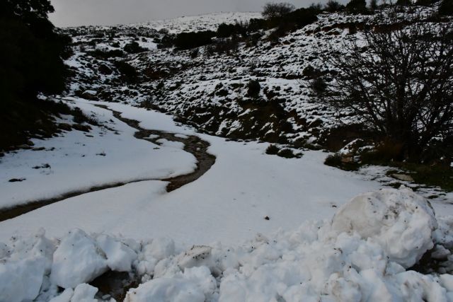 Ολονύχτια μάχη για τη διάσωση οκτώ ανθρώπων στον Χορτιάτη