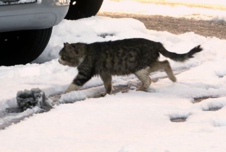 Κ. Μακεδονία: Πού είναι απαραίτητες οι αντιολισθητικές αλυσίδες