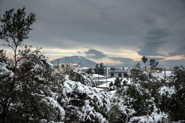 Γρεβενά: Σε κατάσταση έκτακτης ανάγκης λόγω της χιονόπτωσης