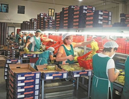 Στην κορυφή τα αγροτικά προϊόντα