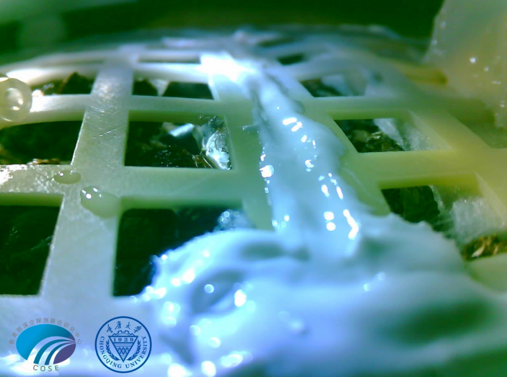 Λόγω κρύου πέθαναν τα πρώτα κινεζικά φυτά που βλάστησαν στο φεγγάρι