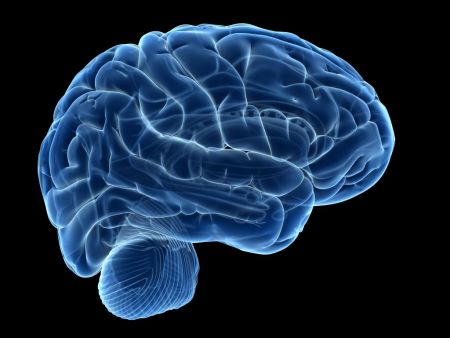 Εγκεφαλικά σήματα σκέψης μετατράπηκαν σε ομιλία