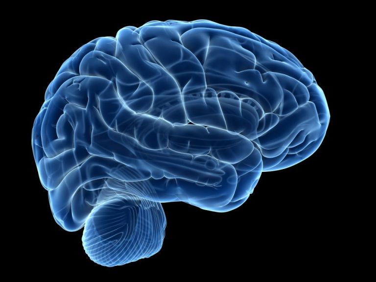 Εγκεφαλικά σήματα σκέψης μετατράπηκαν σε ομιλία | tovima.gr