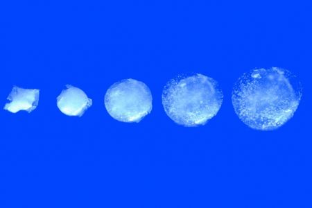 «Χάπι» – «Μάτα Χάρι» για το καλό της υγείας μας