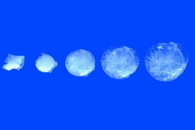 «Χάπι» – «Μάτα Χάρι» για το καλό της υγείας μας