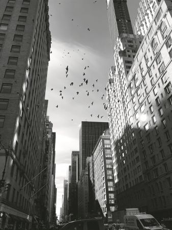 To {Just/Art}* συναντά τον φακό της Ευανθίας Ρεμπούτσικα