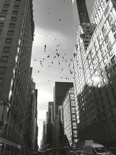 To {Just/Art}* συναντά τον φακό της Ευανθίας Ρεμπούτσικα