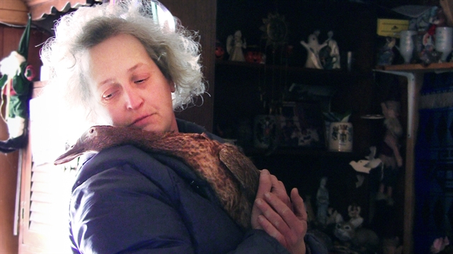 Ανθρωποι, ζώα, ντοκιμαντέρ