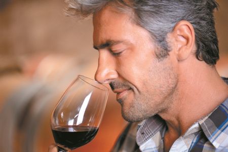 Τα κυτταρικά μυστικά της όσφρησης