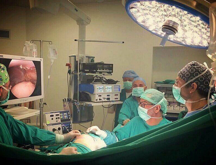 Ιαπωνία: Ένα βήμα πιο κοντά στη δημιουργία ανθρώπινων νεφρών για μεταμόσχευση