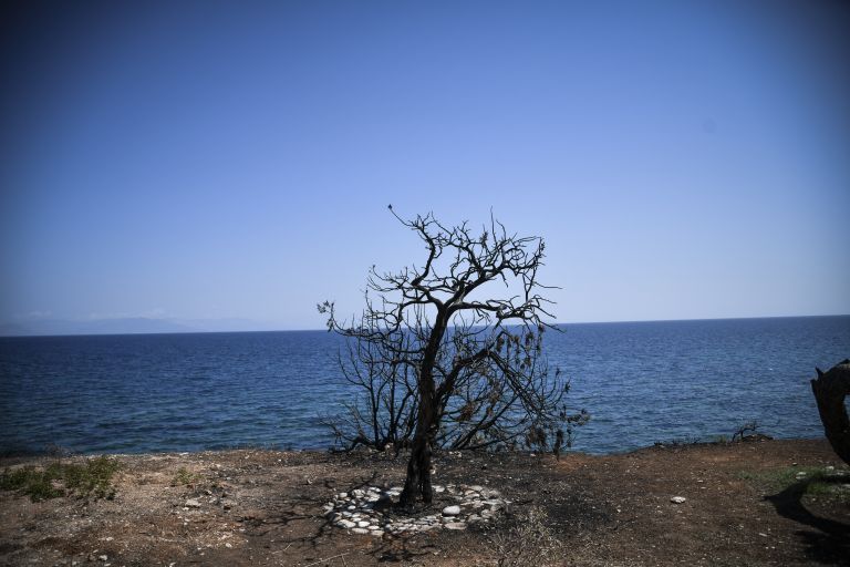 Φωτιά στο Μάτι : Ελληνες πολίτες οι τρεις ψαράδες που έσωσαν δεκάδες ανθρώπους