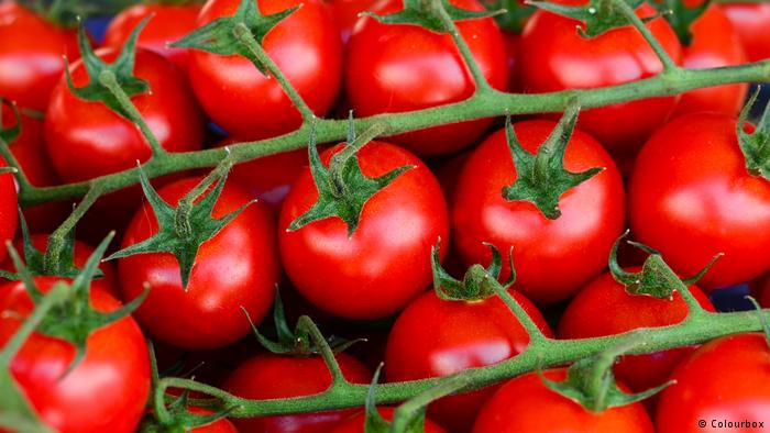 Υπερπροσφορά ντομάτας λόγω Brexit | tovima.gr