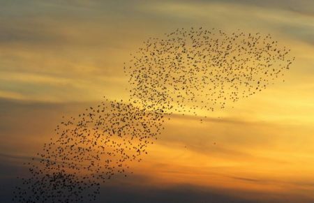 Τροχαίο ατύχημα εξαιτίας σμήνους πουλιών σε παράδρομο της Εθνικής Οδού