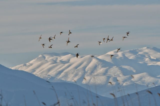 Με πτώση της θερμοκρασίας και χιονοπτώσεις έρχεται η «Ωκεανίδα»