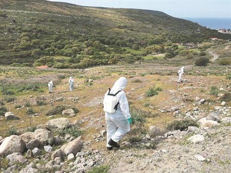 «Επιχείρηση ακρίδα» στον Αγιο Ευστράτιο