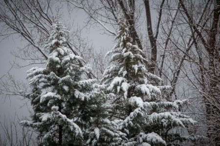 «Ωκεανίς»: Στον καταψύκτη η Ελλάδα