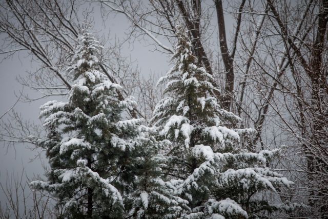 «Ωκεανίς»: Στον καταψύκτη η Ελλάδα
