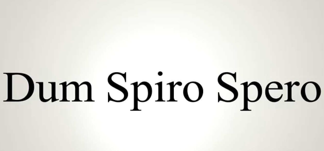 Γ΄ Λυκείου – Λατινικά: Dum spiro spero