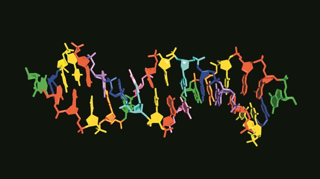 Δημιουργήθηκε DNA με οκτώ «γράμματα»