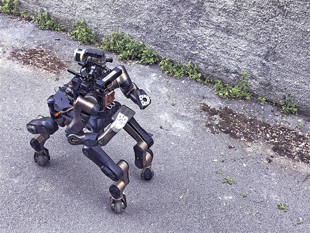 Κένταυρος σωτήρας