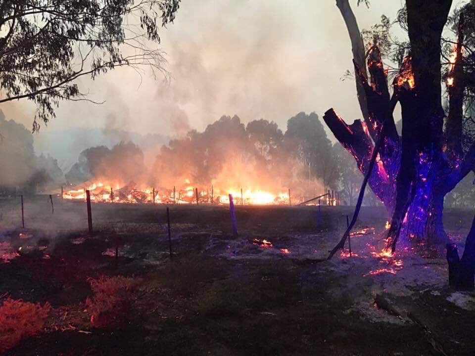 Αυστραλία: Δεκάδες δασικές πυρκαγιές λόγω ισχυρού  καύσωνα